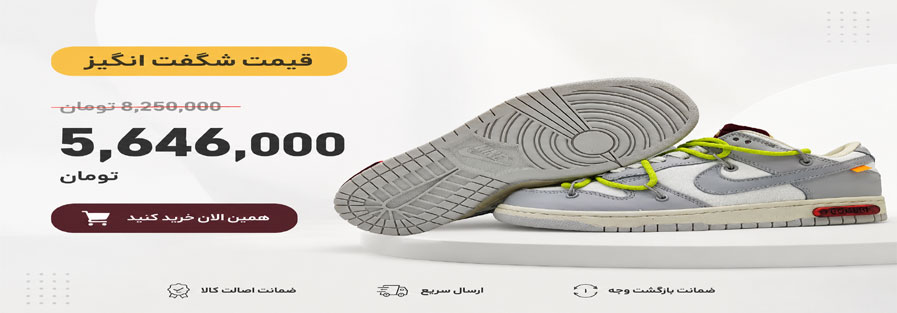 کفش پیاده روی زنانه نایکی مدلDunk Low کد 11620